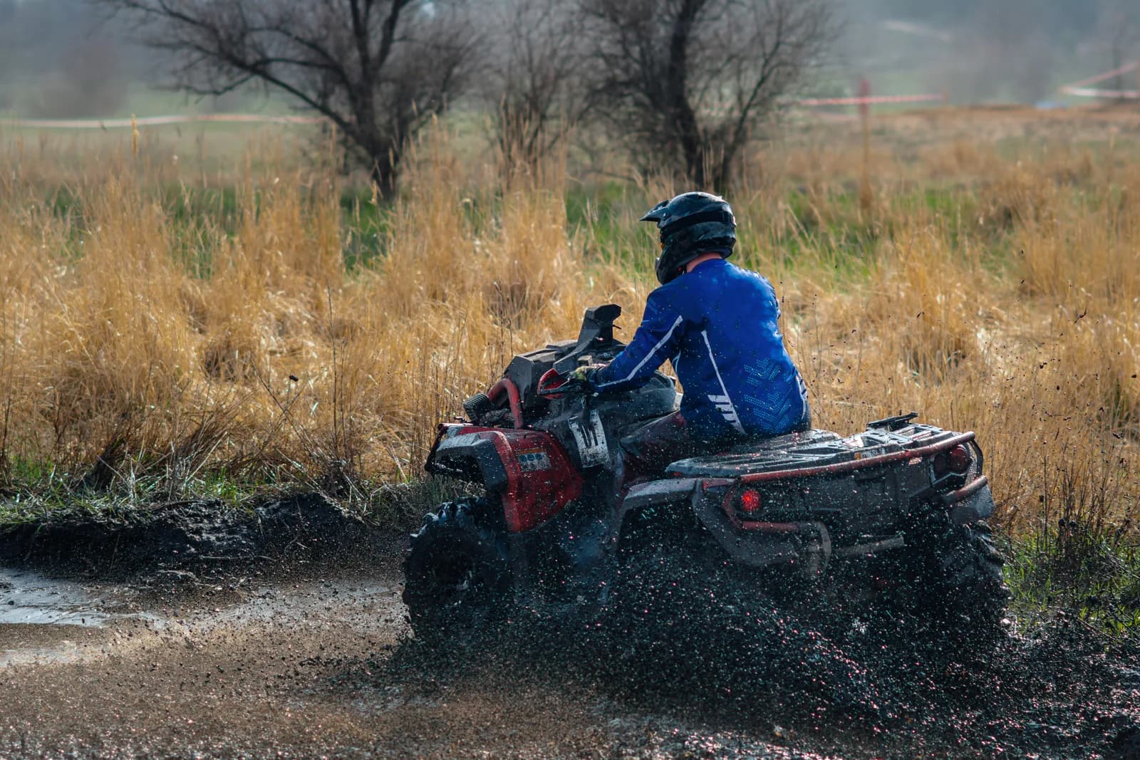 Quad biking & buggies