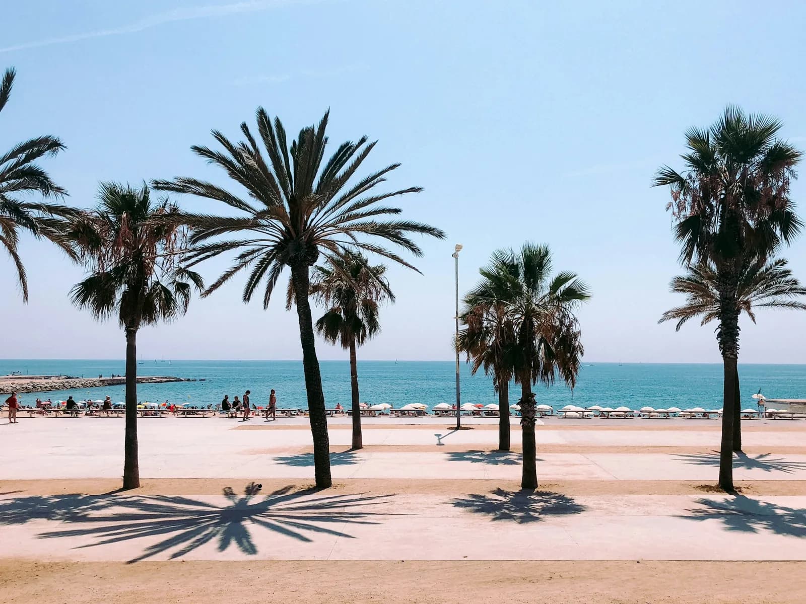 Barcelona Classic